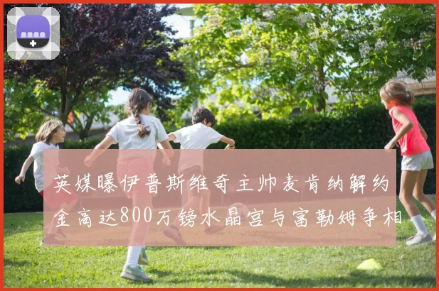 英媒曝伊普斯维奇主帅麦肯纳解约金高达800万镑水晶宫与富勒姆争相追逐