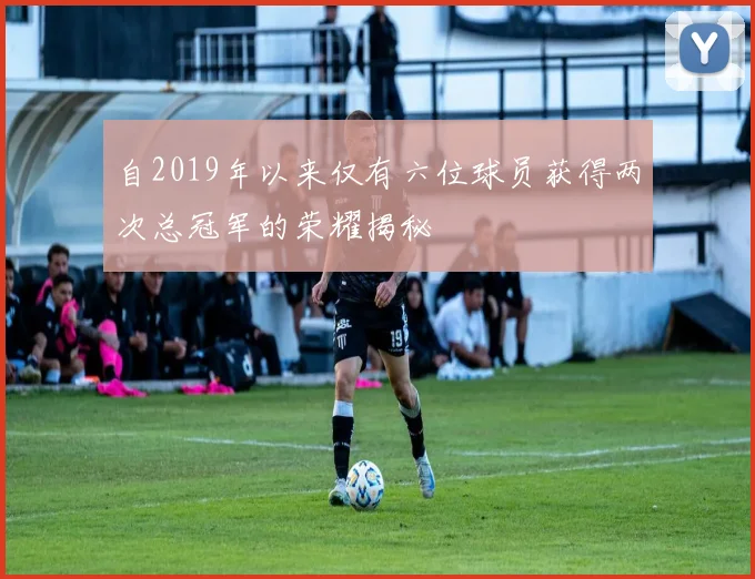 自2019年以来仅有六位球员获得两次总冠军的荣耀揭秘