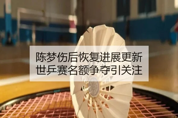 陈梦伤后恢复进展更新 世乒赛名额争夺引关注 | bowansports